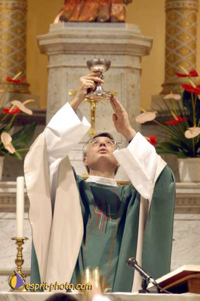 Nom de l'image : D1096085-01 — Description :