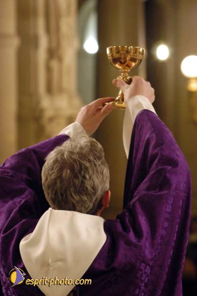 Nom de l'image : D1111798-01 — Description :