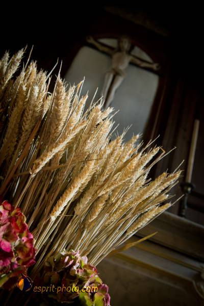 Nom de l'image : D3s012587a — Description :