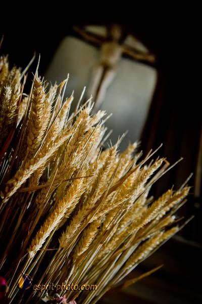 Nom de l'image : D3s012588a — Description :