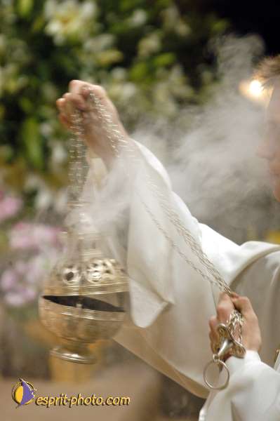 Nom de l'image : D1118362-01 — Description :