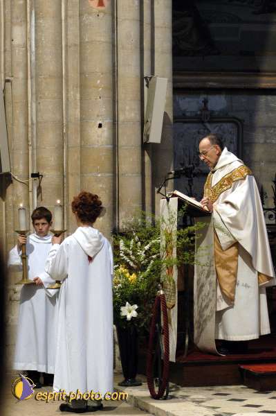 Nom de l'image : D1121806-01 — Description :