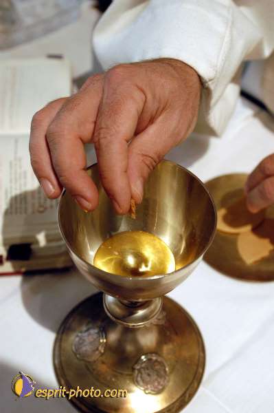 Nom de l'image : D1128321-01 — Description :