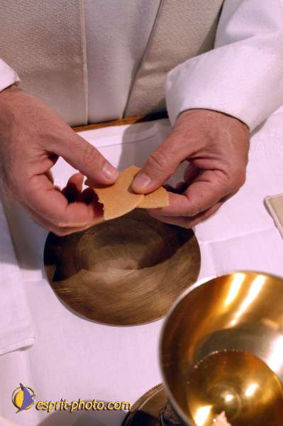 Nom de l'image : D1128336-01 — Description :