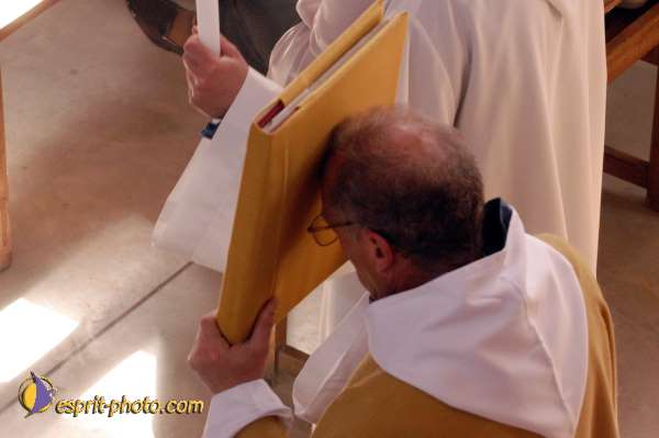 Nom de l'image : D1028333-01 — Description :