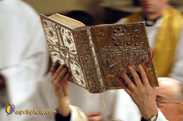 Nom de l'image : D1123700-01 — Description :