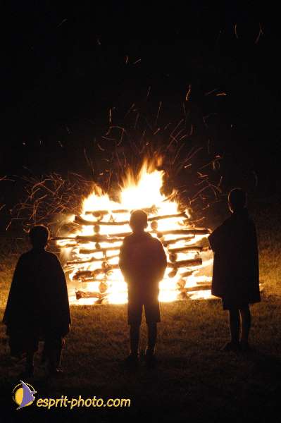 Nom de l'image : D1026169-01 — Description :