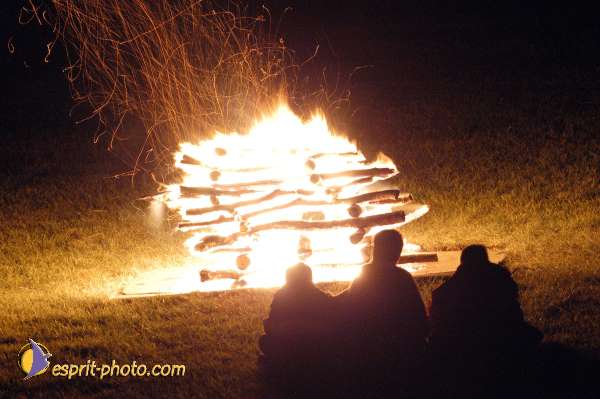 Nom de l'image : D1026184-01 — Description :