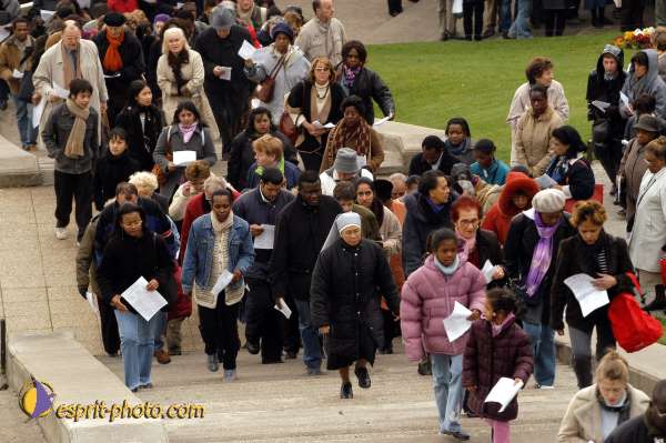 Nom de l'image : D1122167-01 — Description :