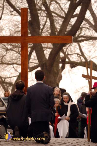 Nom de l'image : D1122297-01 — Description :