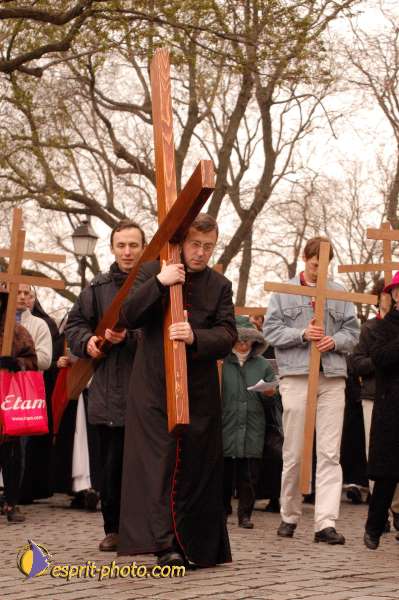 Nom de l'image : D1122319-01 — Description :