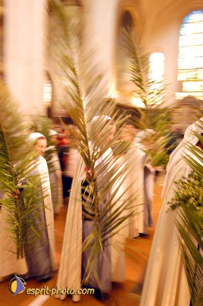 Nom de l'image : D1024589-01 — Description :  Dimanche de Ramaux à l'église St Gervais - Paris 4e & Inaugurati