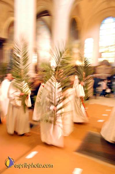 Nom de l'image : D1024592-01 — Description :  Dimanche de Ramaux à l'église St Gervais - Paris 4e & Inaugurati