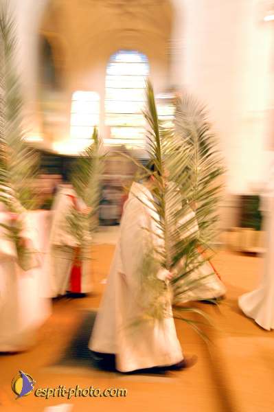 Nom de l'image : D1024594-01 — Description :  Dimanche de Ramaux à l'église St Gervais - Paris 4e & Inaugurati