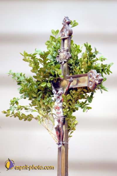 Nom de l'image : D1024962-01 — Description :  Dimanche de Ramaux à l'église St Gervais - Paris 4e & Inaugurati