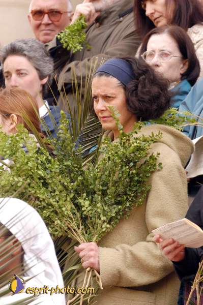 Nom de l'image : D1024989-01 — Description :  Dimanche de Ramaux à l'église St Gervais - Paris 4e & Inaugurati