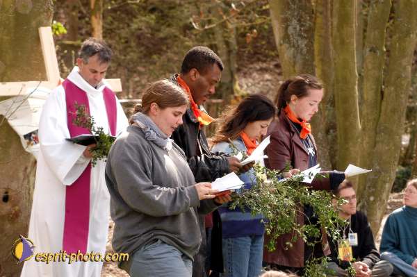 Nom de l'image : D1120355-01 — Description :