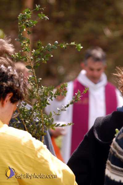 Nom de l'image : D1120371-01 — Description :