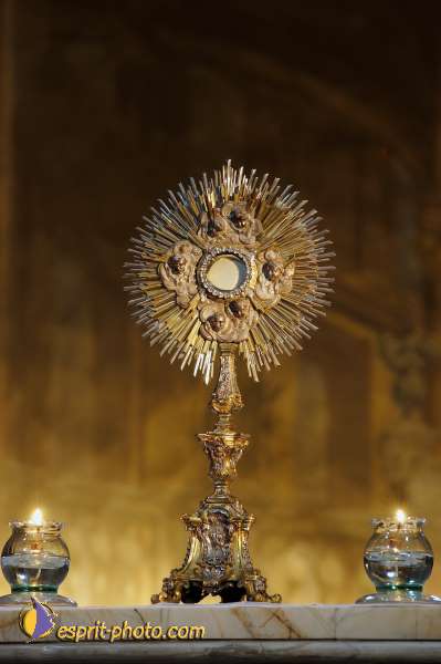 Nom de l'image : D1085837-nef-01 — Description :