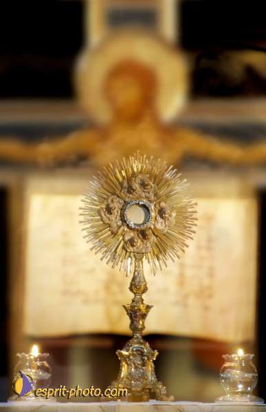 Nom de l'image : D1085869-nef-02-01 — Description :