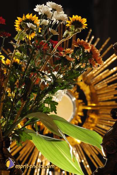 Nom de l'image : D1191644-1 — Description :  Paris - Toussaint 2004