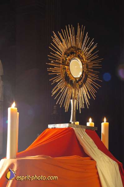 Nom de l'image : D1191645-1 — Description :  Paris - Toussaint 2004