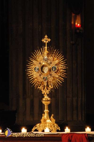 Nom de l'image : DSC_3169 — Description :