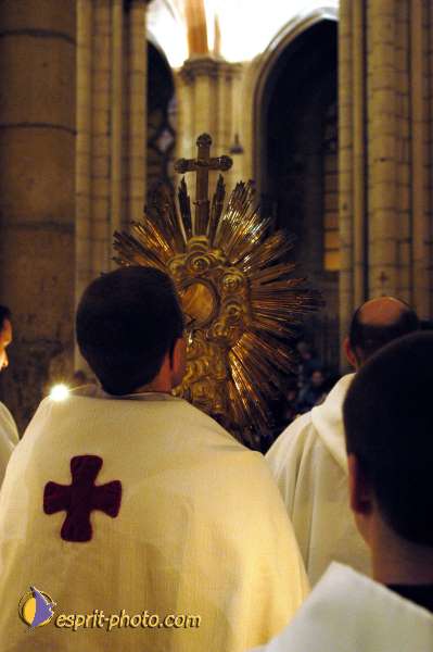 Nom de l'image : D1136998-01 — Description :