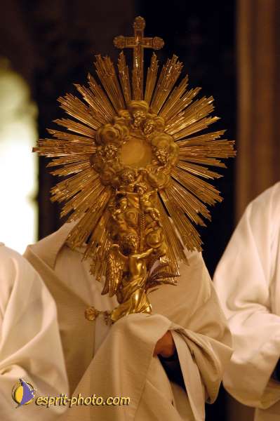 Nom de l'image : D1137013-01 — Description :