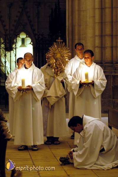 Nom de l'image : D1137022-01 — Description :