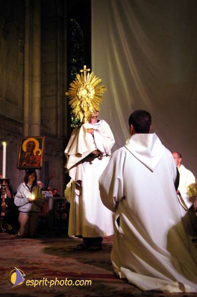 Nom de l'image : D1137033-01 — Description :