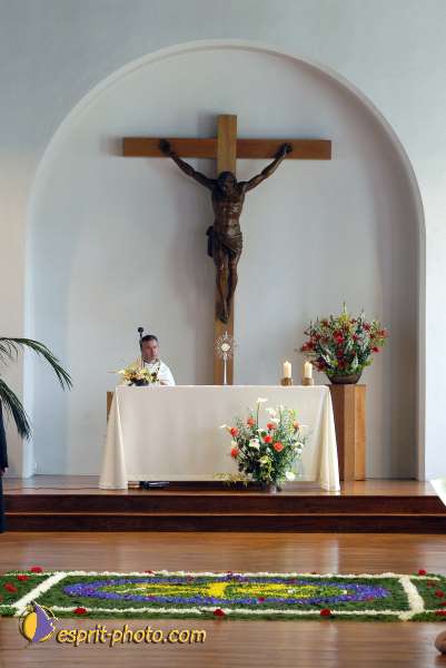 Nom de l'image : D1144377-01 — Description :