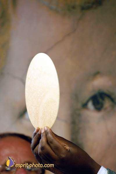 Nom de l'image : D1150493-01 — Description :