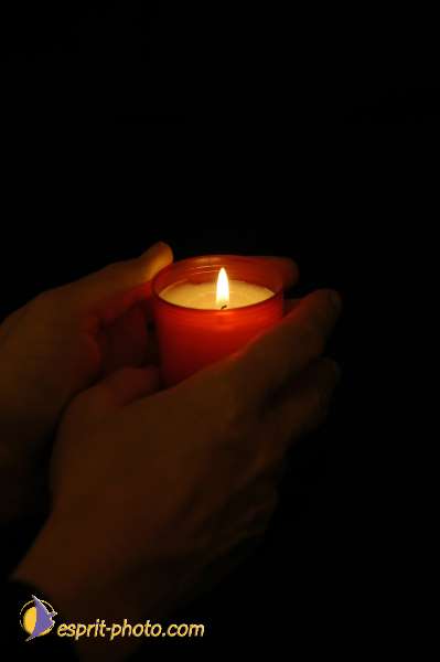 Nom de l'image : EG-R-130 — Description :