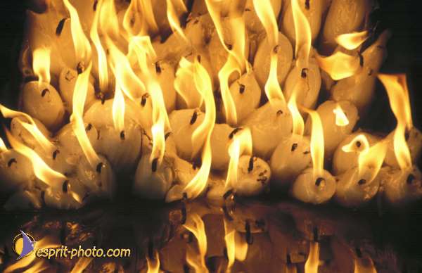 Nom de l'image : EG-R-539 — Description :