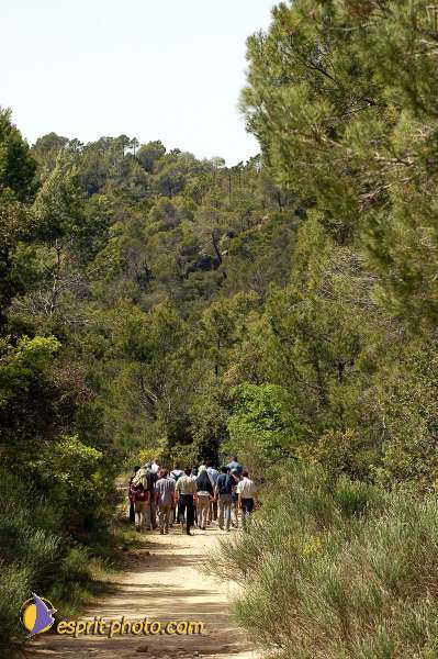 Nom de l'image : D1034168 — Description :  Nouvelle évangelisation - Week-end retraite avec Mgr Rey et la F