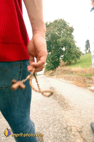 Nom de l'image : D1075745 — Description :