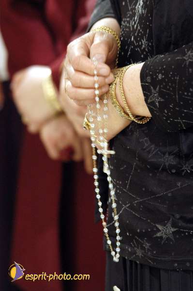 Nom de l'image : D1109309-01 — Description :