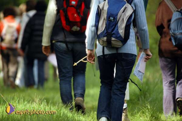 Nom de l'image : D1134845-01 — Description :