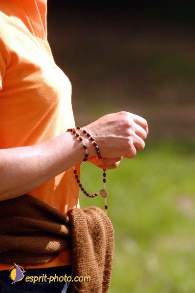 Nom de l'image : D1135014-01 — Description :