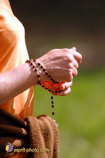 Nom de l'image : D1135017-01 — Description :