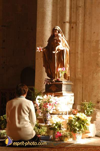 Nom de l'image : D1069010-nef — Description :