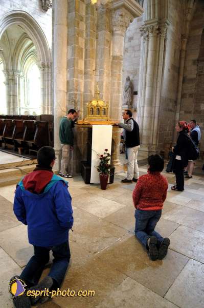 Nom de l'image : D1139043-01 — Description :