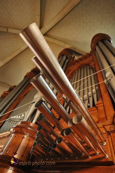 Nom de l'image : 305_D30013976_1 — Description :