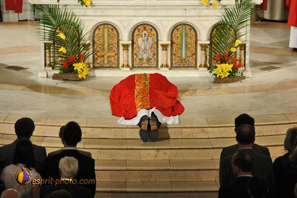 Nom de l'image : 397_D30014067_1 — Description :