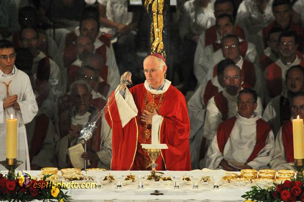 Nom de l'image : 564_D30014188_1 — Description :