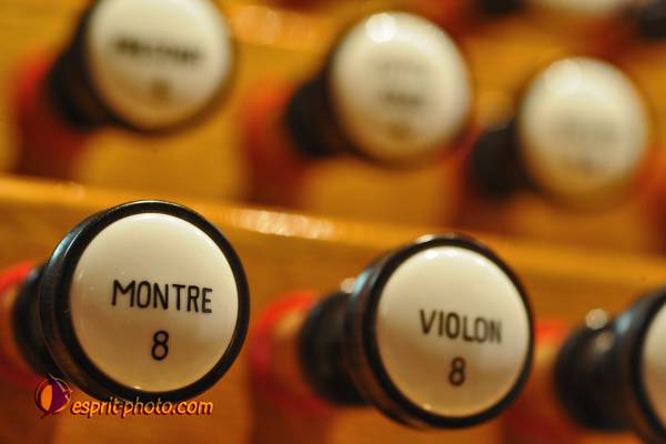 Nom de l'image : 615_D30014223_1 — Description :