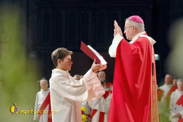 Nom de l'image : D2247826_1 — Description :