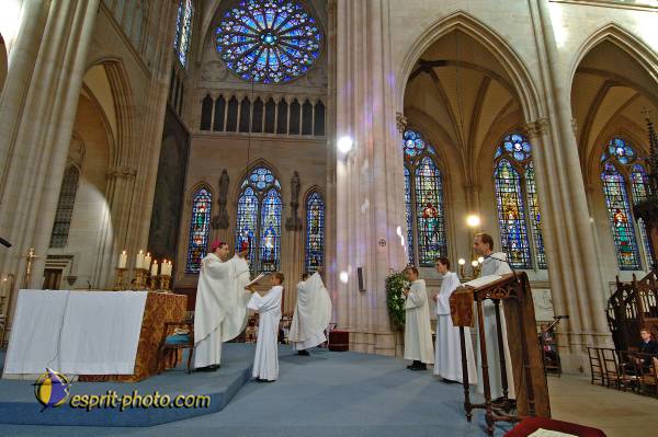 Nom de l'image : D2183790_1 — Description :