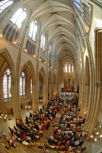 Nom de l'image : D2184049_1 — Description :